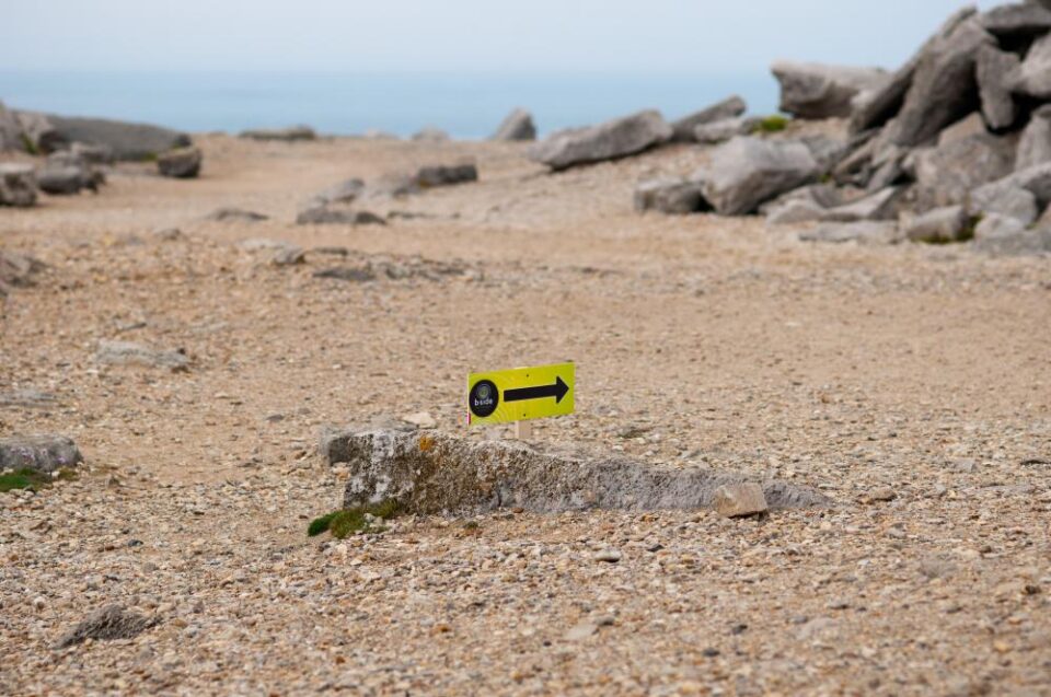 20140905 by Pete Millson 020 b-side festival 2016