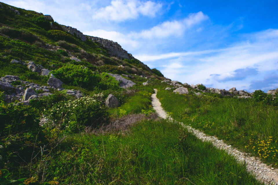 Bill @ Ope-12 Bill @ Ope-12