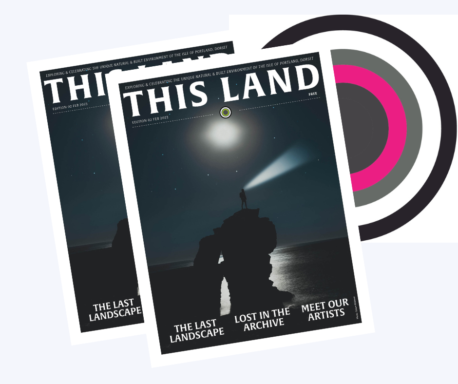 This Land Edition 02, Feb 2023 BSide Arts Festival