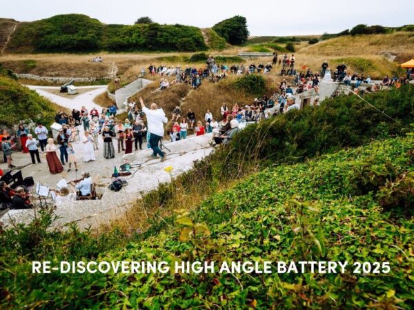 Rediscovering High Angle Battery Feedback Report